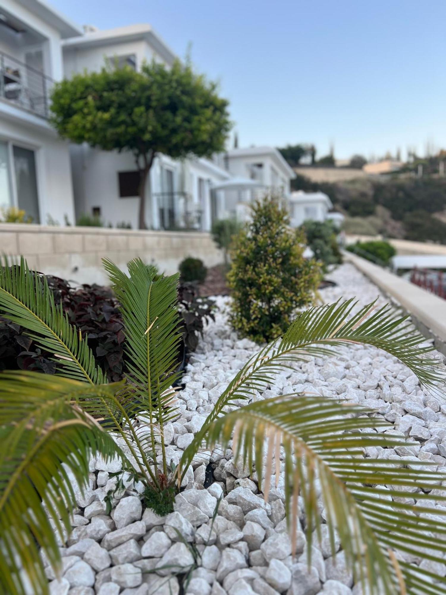 شقة Pissouri Image المظهر الخارجي الصورة